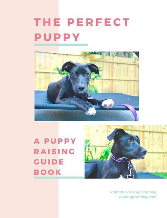 Puppy E-Book